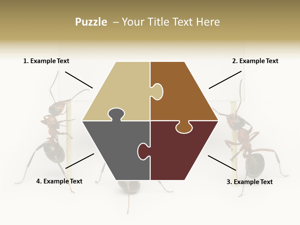 A Group Of Ants Standing Next To Each Other PowerPoint Template