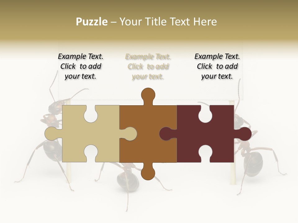 A Group Of Ants Standing Next To Each Other PowerPoint Template