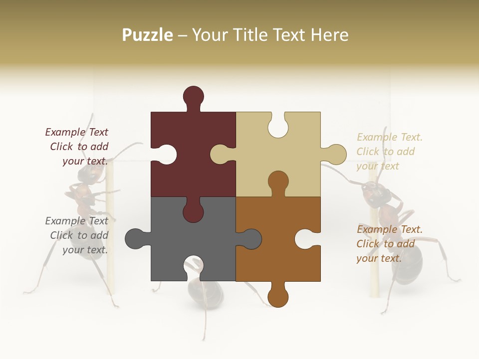 A Group Of Ants Standing Next To Each Other PowerPoint Template