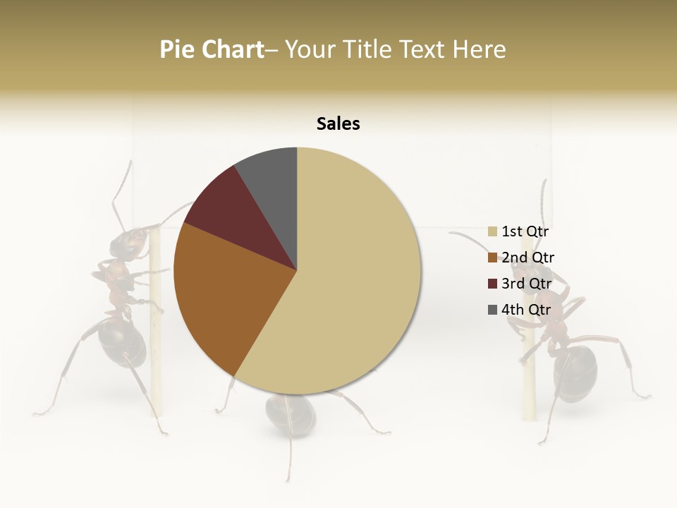 A Group Of Ants Standing Next To Each Other PowerPoint Template
