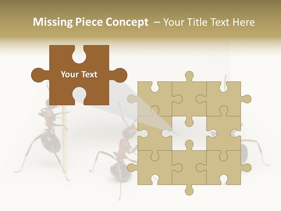 A Group Of Ants Standing Next To Each Other PowerPoint Template