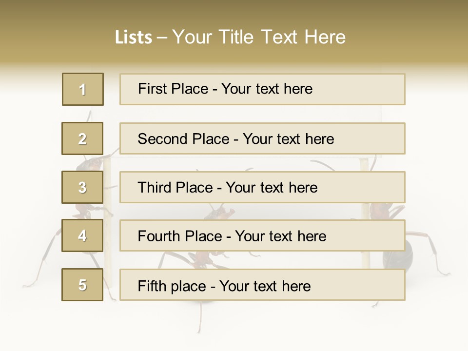 A Group Of Ants Standing Next To Each Other PowerPoint Template