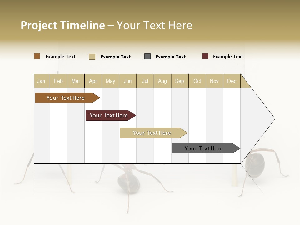 A Group Of Ants Standing Next To Each Other PowerPoint Template