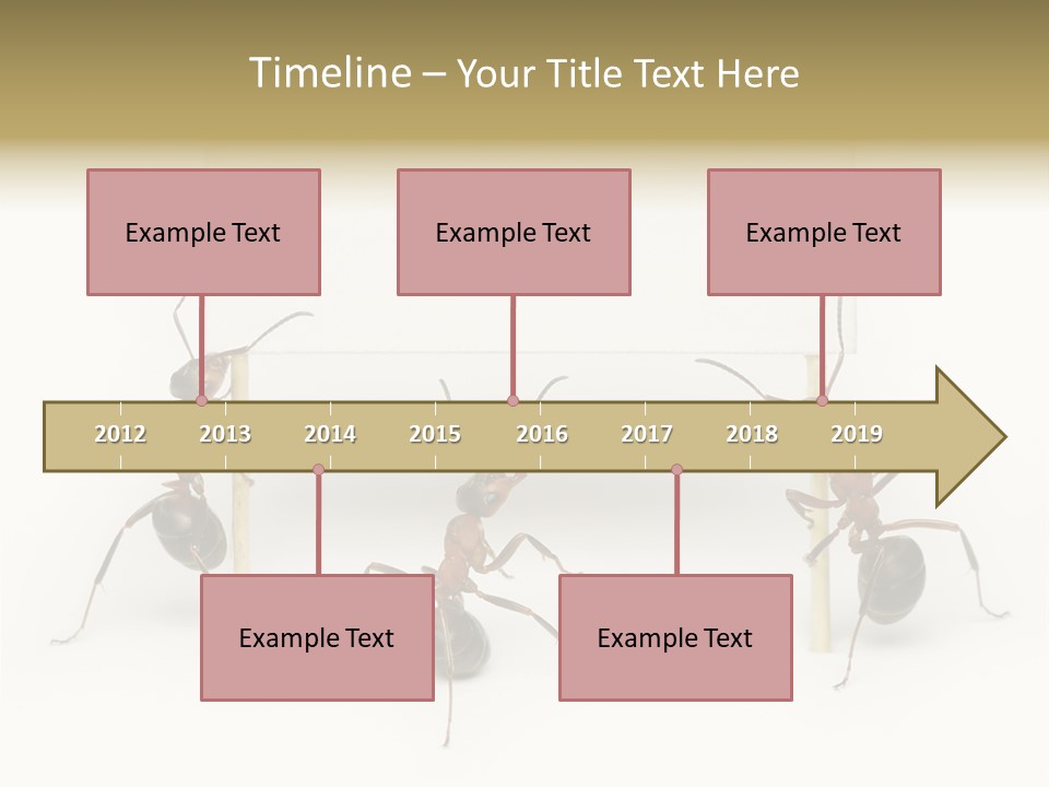 A Group Of Ants Standing Next To Each Other PowerPoint Template