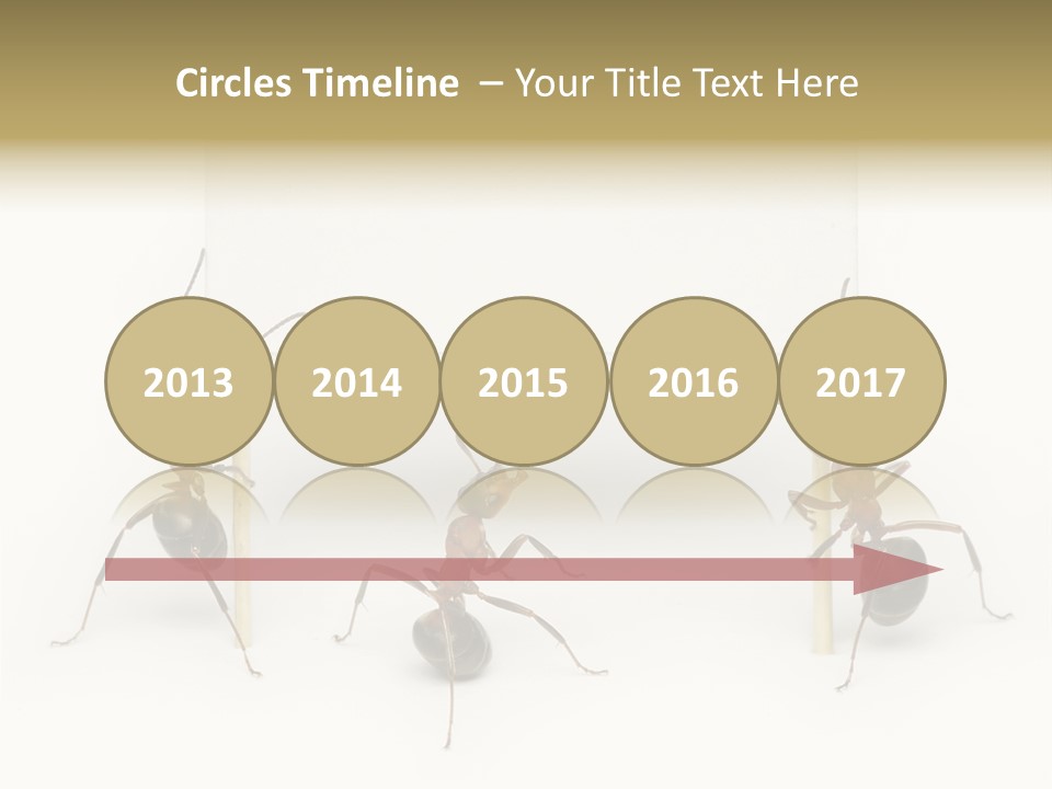 A Group Of Ants Standing Next To Each Other PowerPoint Template