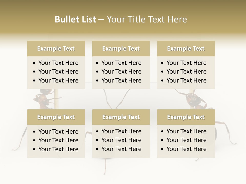 A Group Of Ants Standing Next To Each Other PowerPoint Template