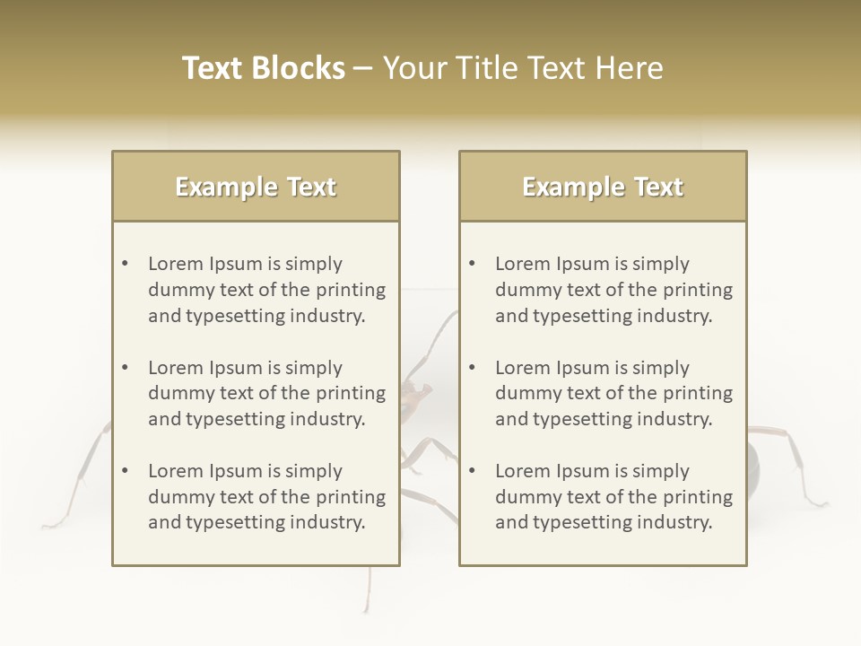 A Group Of Ants Standing Next To Each Other PowerPoint Template