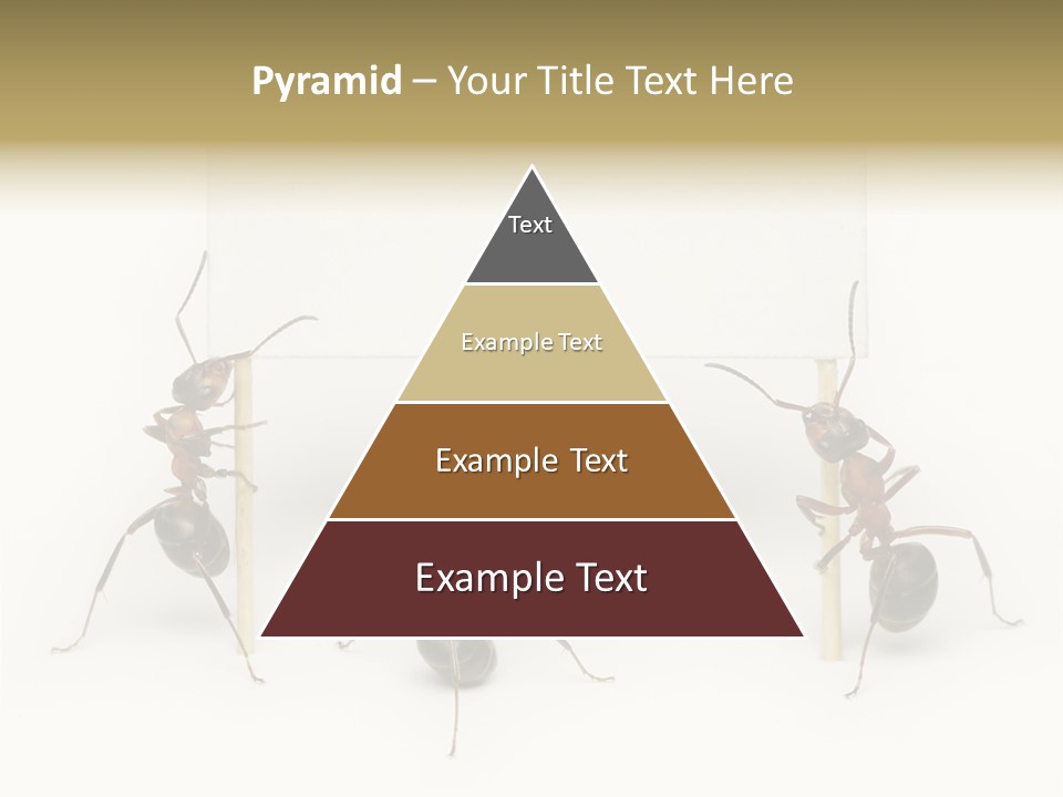 A Group Of Ants Standing Next To Each Other PowerPoint Template