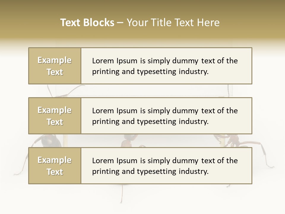 A Group Of Ants Standing Next To Each Other PowerPoint Template