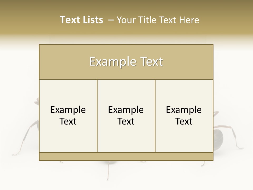 A Group Of Ants Standing Next To Each Other PowerPoint Template