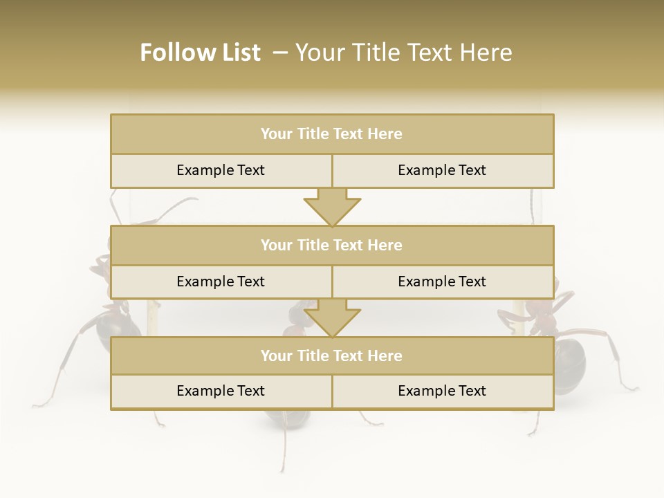 A Group Of Ants Standing Next To Each Other PowerPoint Template