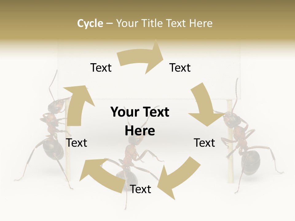 A Group Of Ants Standing Next To Each Other PowerPoint Template