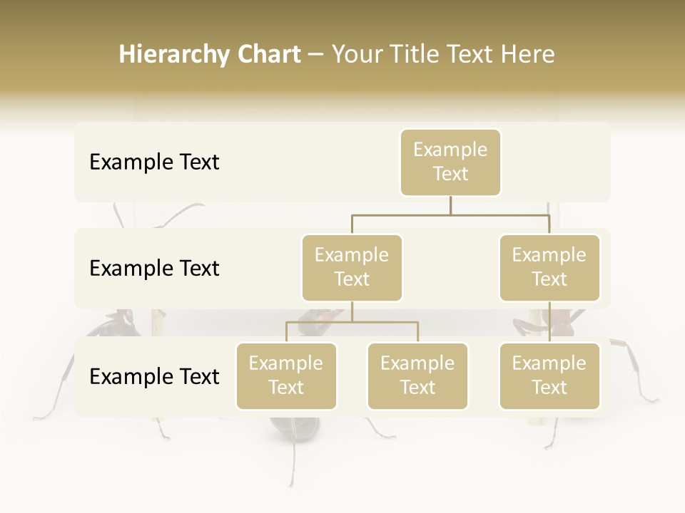 A Group Of Ants Standing Next To Each Other PowerPoint Template