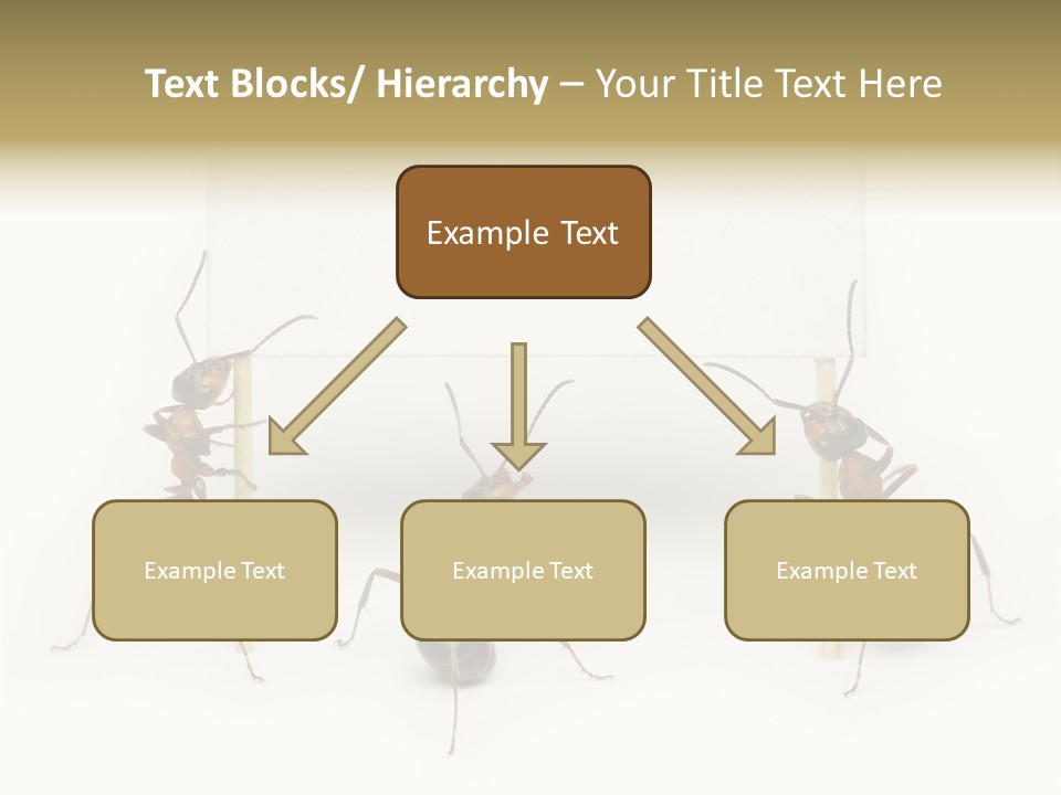 A Group Of Ants Standing Next To Each Other PowerPoint Template