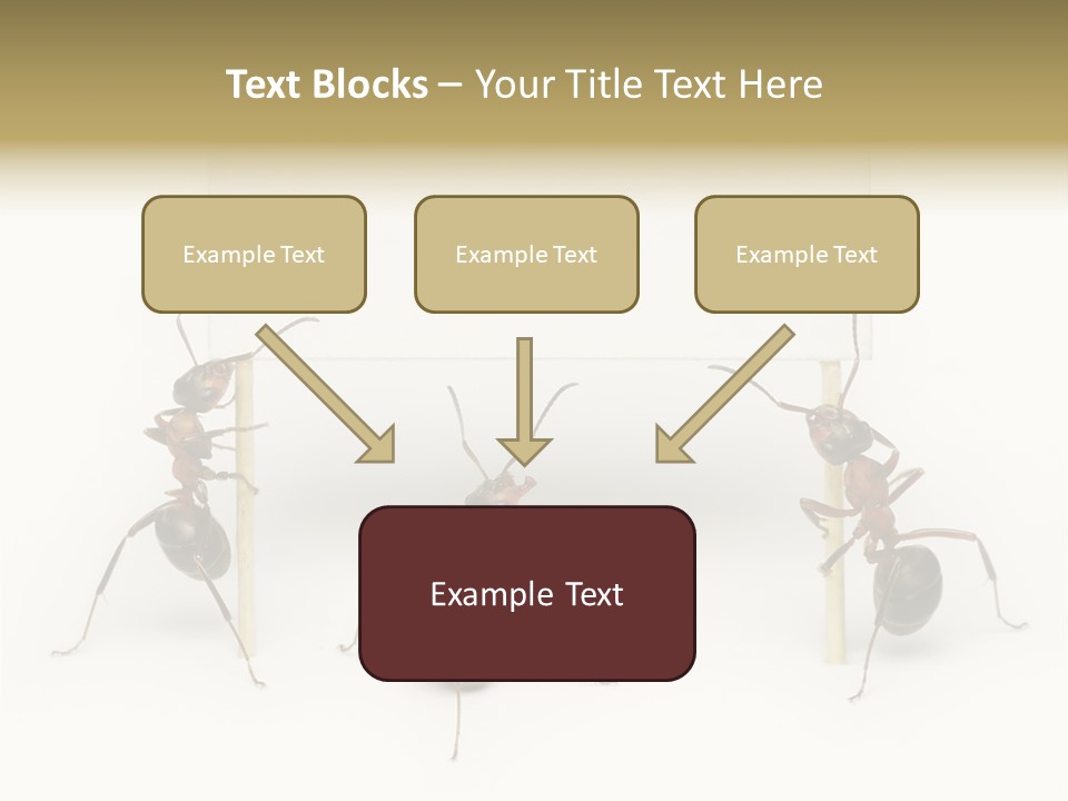 A Group Of Ants Standing Next To Each Other PowerPoint Template