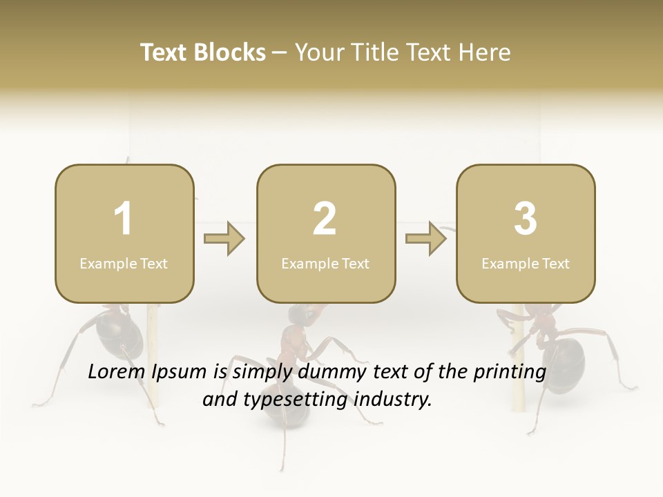 A Group Of Ants Standing Next To Each Other PowerPoint Template