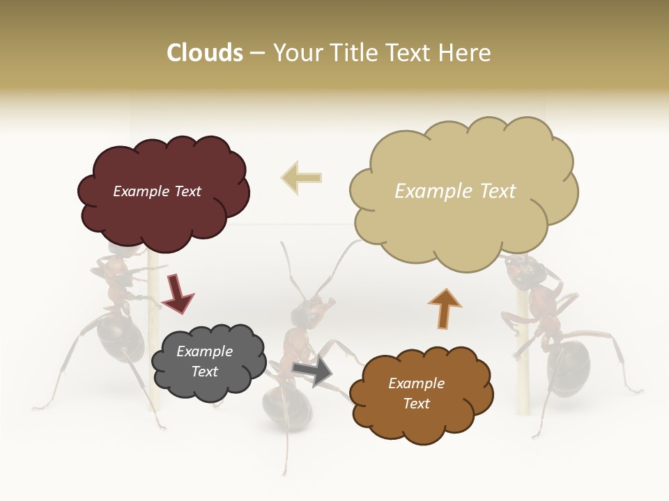 A Group Of Ants Standing Next To Each Other PowerPoint Template