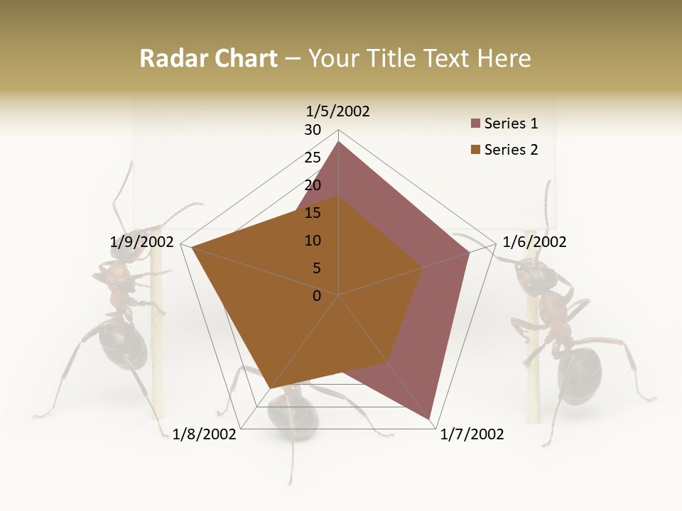 A Group Of Ants Standing Next To Each Other PowerPoint Template