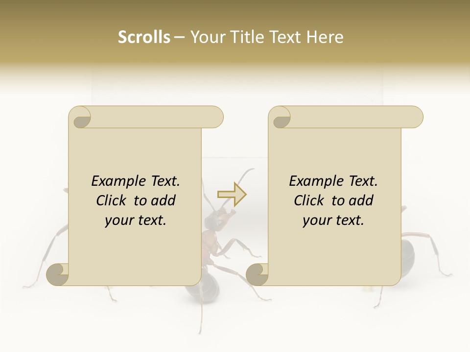 A Group Of Ants Standing Next To Each Other PowerPoint Template