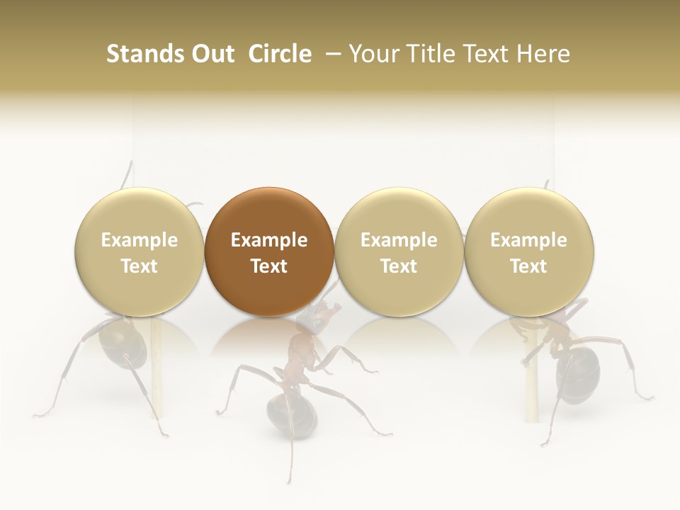 A Group Of Ants Standing Next To Each Other PowerPoint Template