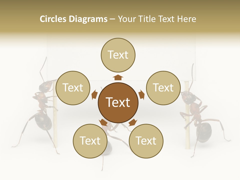 A Group Of Ants Standing Next To Each Other PowerPoint Template