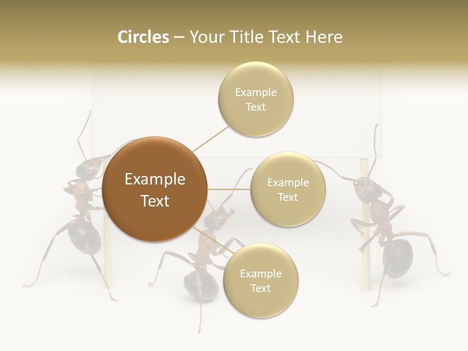 A Group Of Ants Standing Next To Each Other PowerPoint Template
