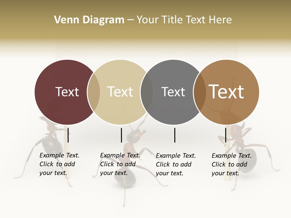 A Group Of Ants Standing Next To Each Other PowerPoint Template