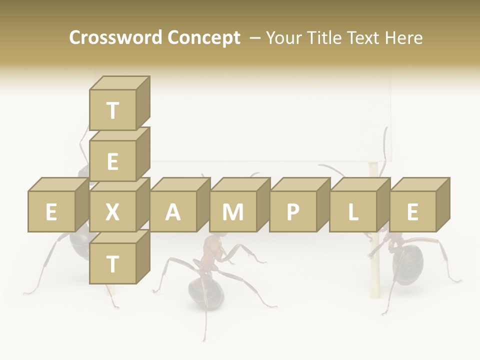 A Group Of Ants Standing Next To Each Other PowerPoint Template