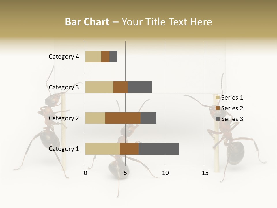A Group Of Ants Standing Next To Each Other PowerPoint Template