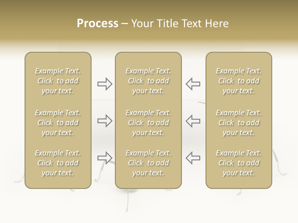 A Group Of Ants Standing Next To Each Other PowerPoint Template