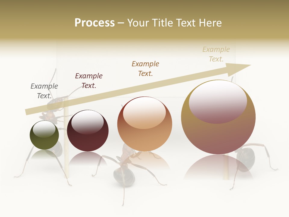 A Group Of Ants Standing Next To Each Other PowerPoint Template