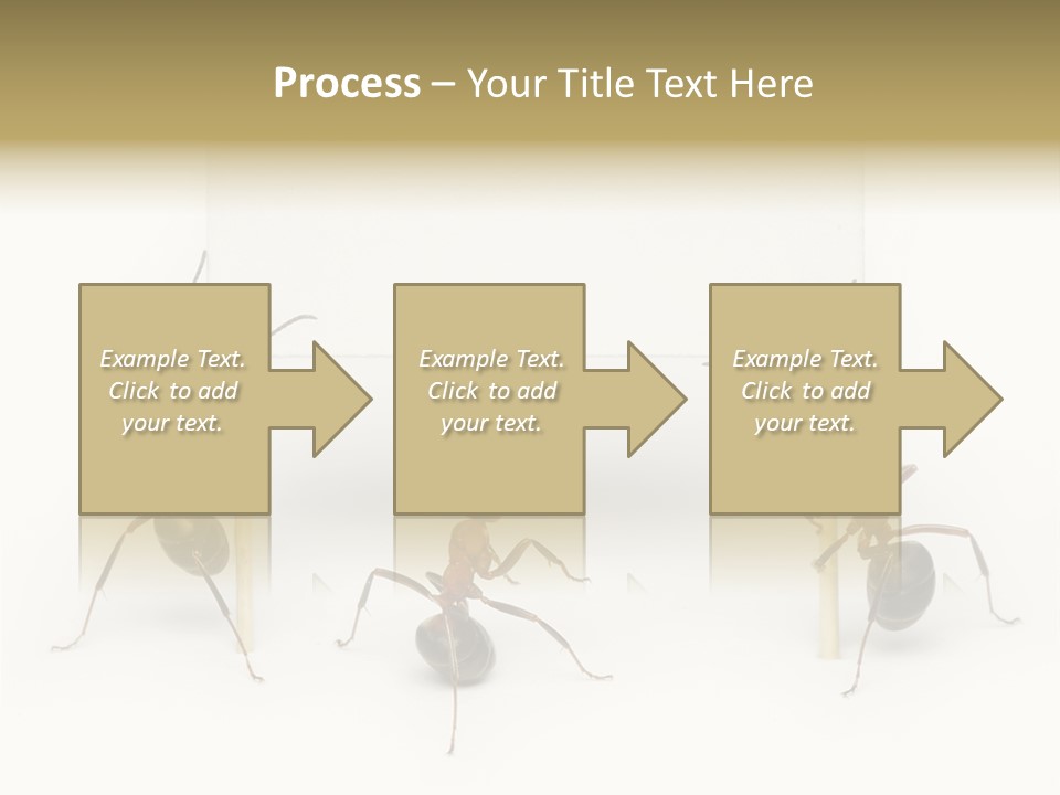 A Group Of Ants Standing Next To Each Other PowerPoint Template