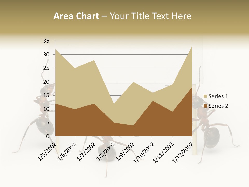 A Group Of Ants Standing Next To Each Other PowerPoint Template