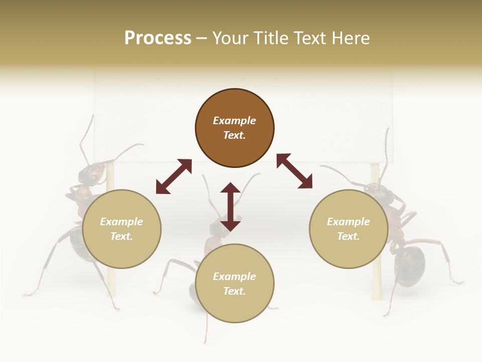 A Group Of Ants Standing Next To Each Other PowerPoint Template