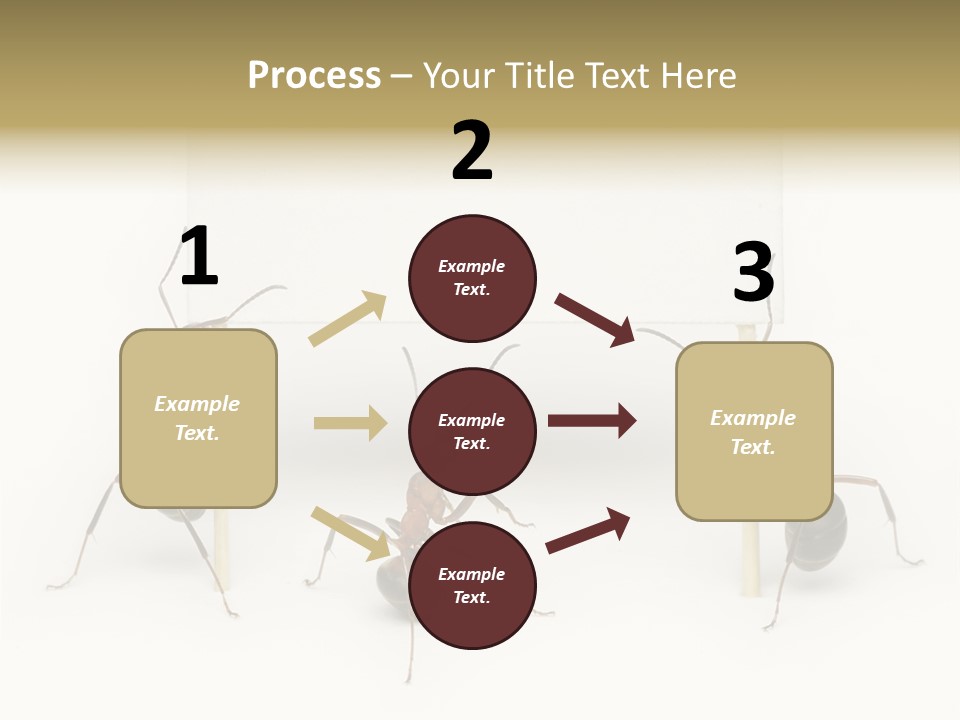 A Group Of Ants Standing Next To Each Other PowerPoint Template
