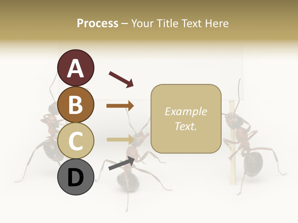 A Group Of Ants Standing Next To Each Other PowerPoint Template