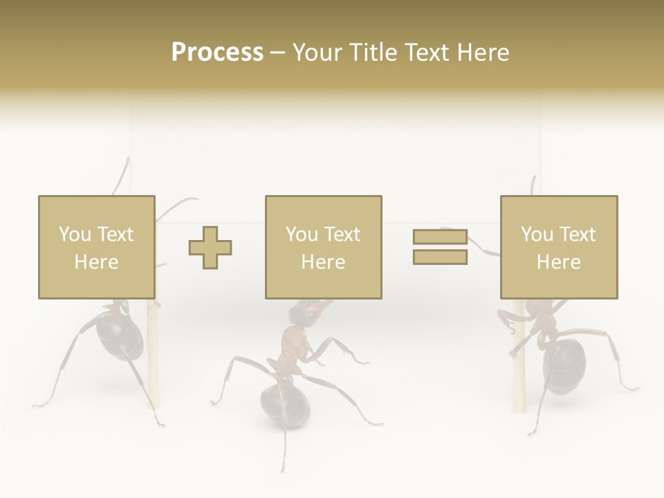 A Group Of Ants Standing Next To Each Other PowerPoint Template