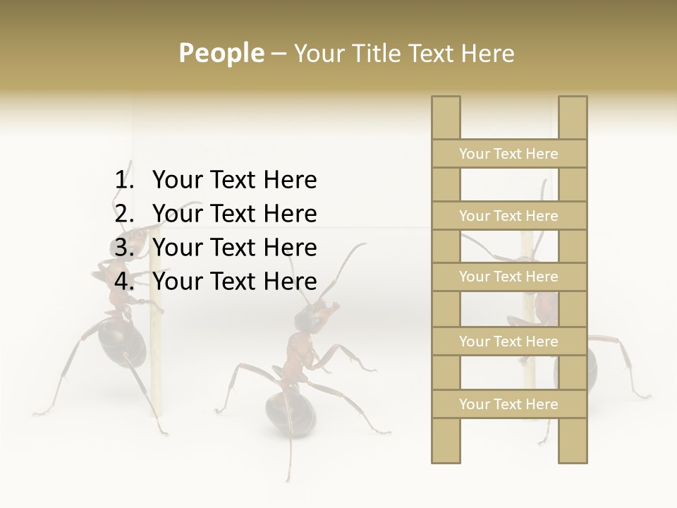 A Group Of Ants Standing Next To Each Other PowerPoint Template