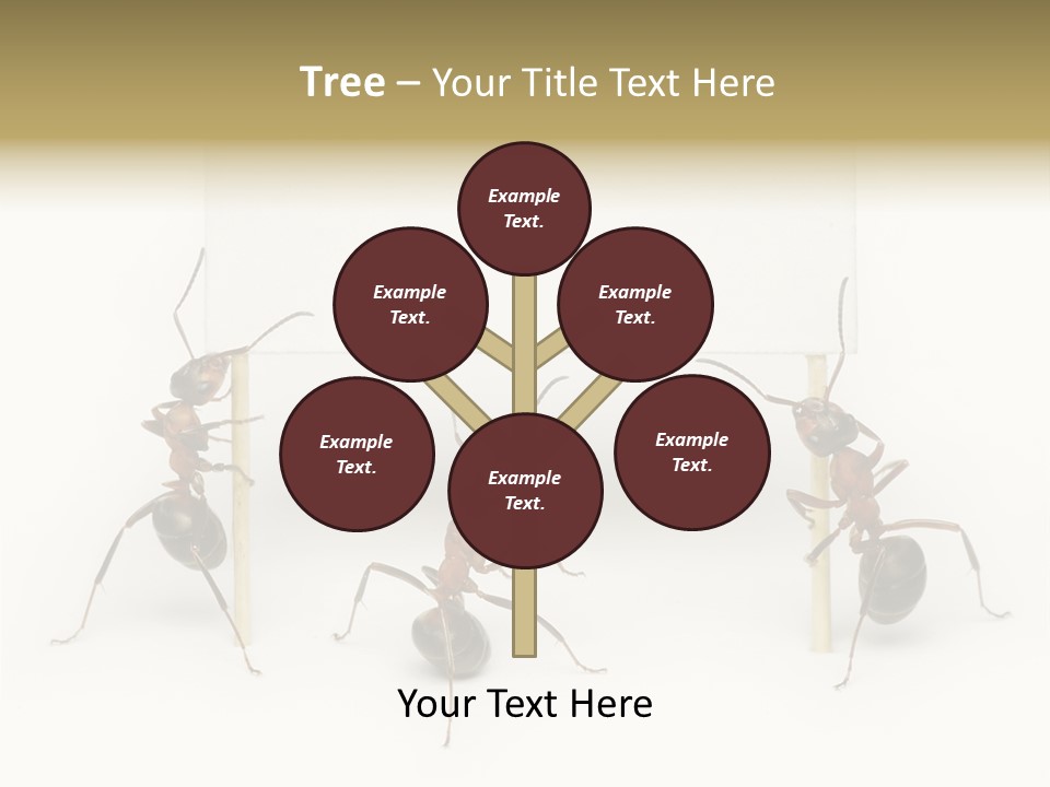 A Group Of Ants Standing Next To Each Other PowerPoint Template