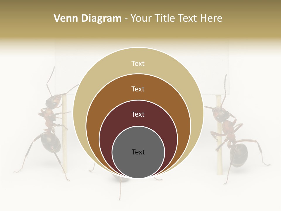 A Group Of Ants Standing Next To Each Other PowerPoint Template