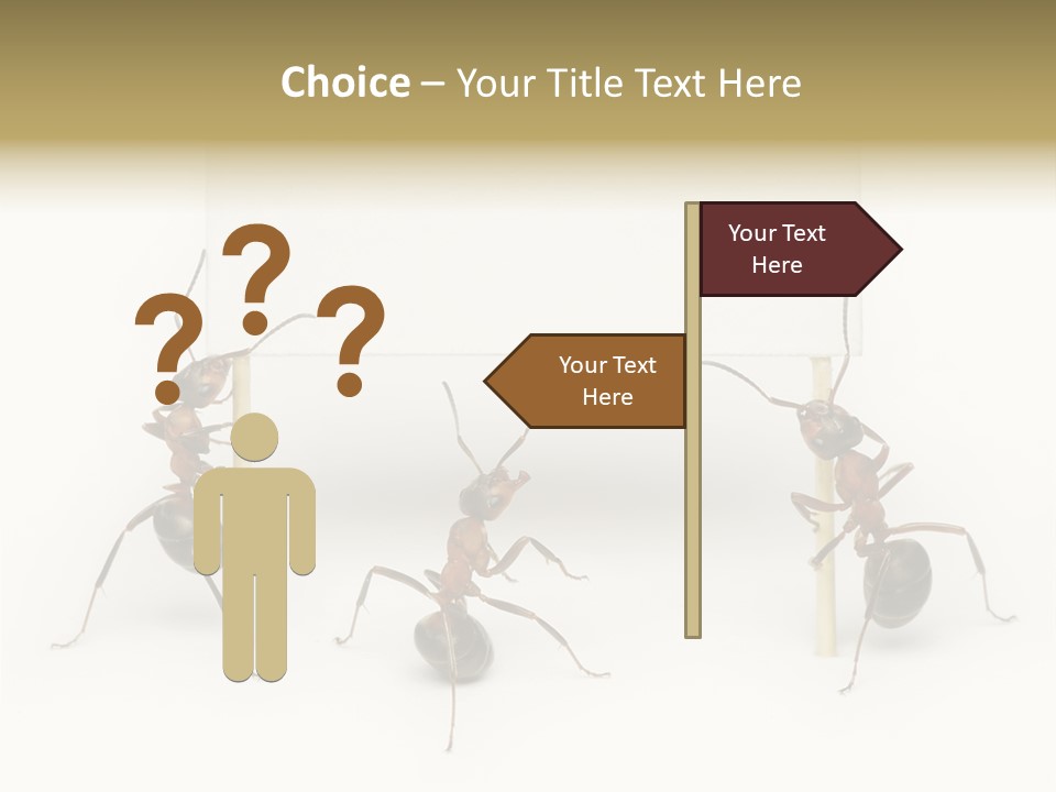 A Group Of Ants Standing Next To Each Other PowerPoint Template