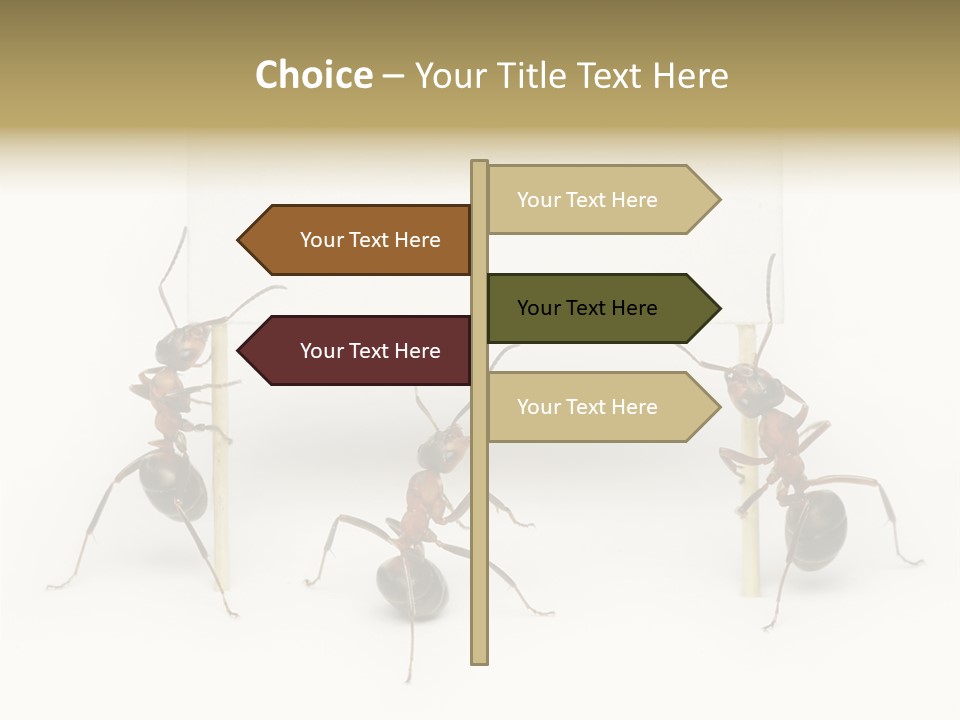 A Group Of Ants Standing Next To Each Other PowerPoint Template