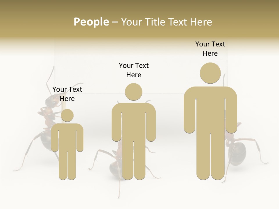 A Group Of Ants Standing Next To Each Other PowerPoint Template