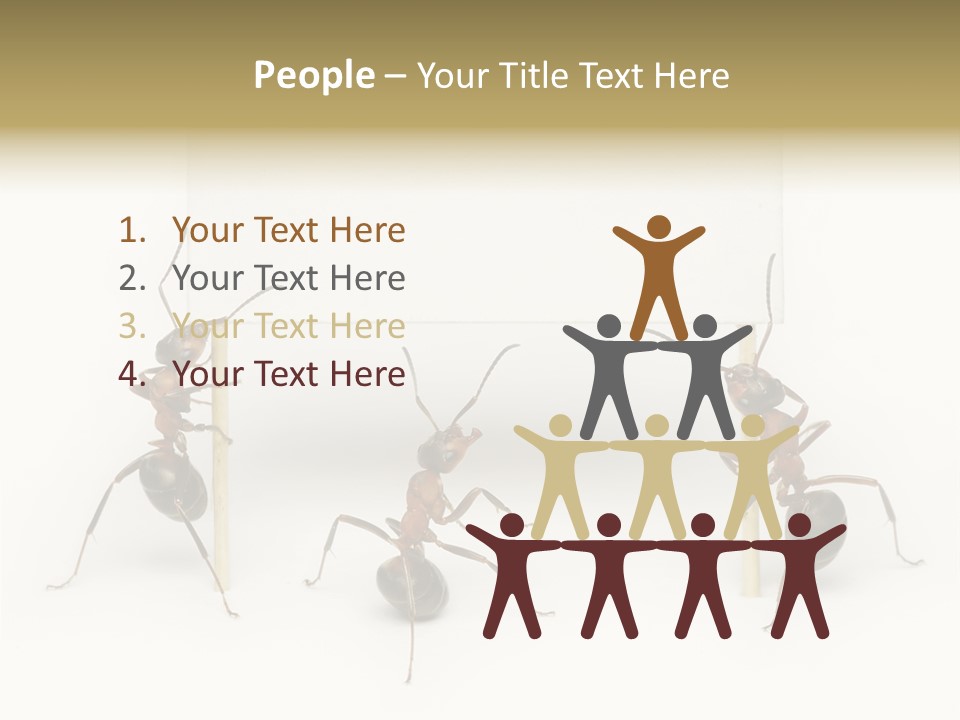 A Group Of Ants Standing Next To Each Other PowerPoint Template