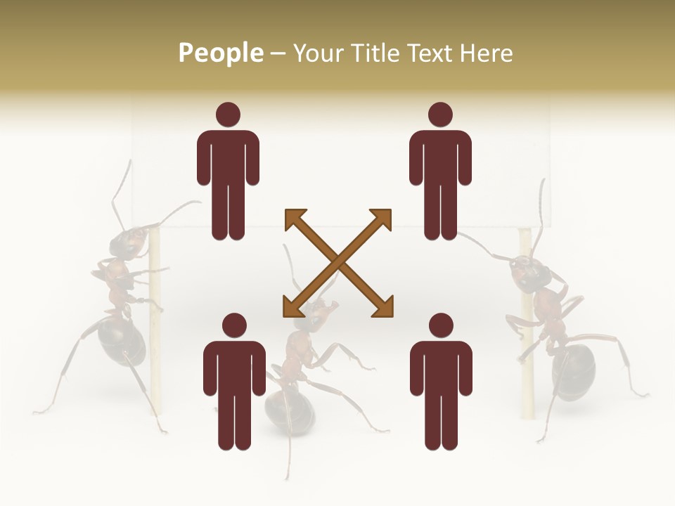 A Group Of Ants Standing Next To Each Other PowerPoint Template