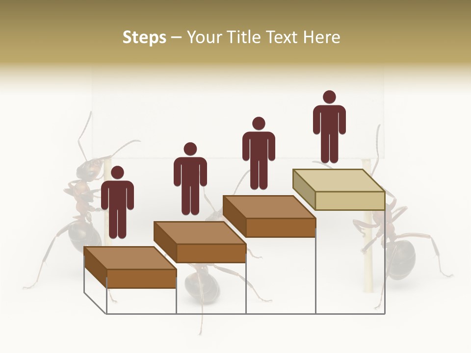 A Group Of Ants Standing Next To Each Other PowerPoint Template