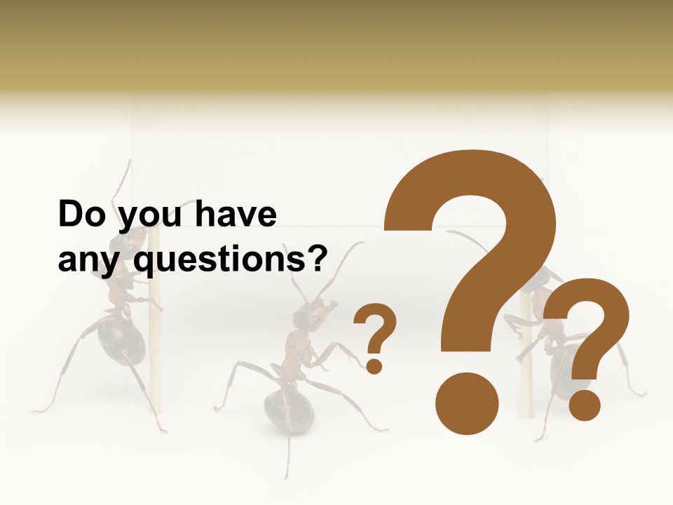 A Group Of Ants Standing Next To Each Other PowerPoint Template