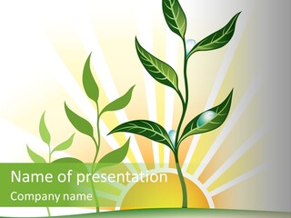 A Picture Of A Plant With The Sun In The Background PowerPoint Template