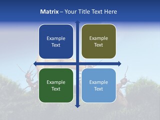 Moon Spaceman Ejection PowerPoint Template