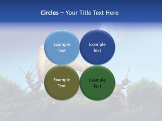 Moon Spaceman Ejection PowerPoint Template